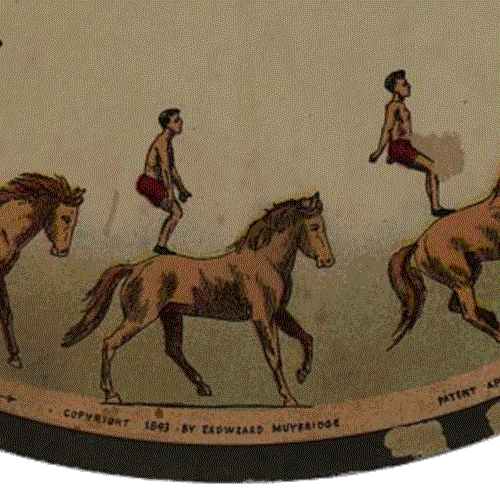 Motion graphics animated gif of people standing on horse back