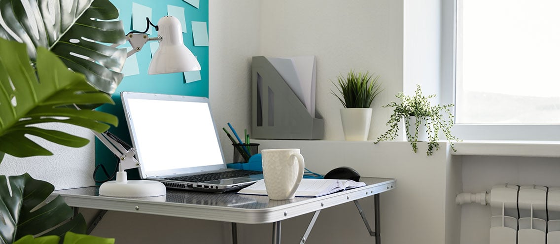Clean workspace with plants for boosted creativity