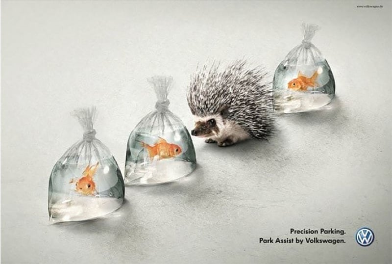 Porcupine in a line of 3 goldfish in plastic bags of water for a Volkswagen park assist marketing campaign